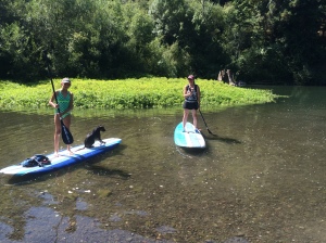 SUP russian river